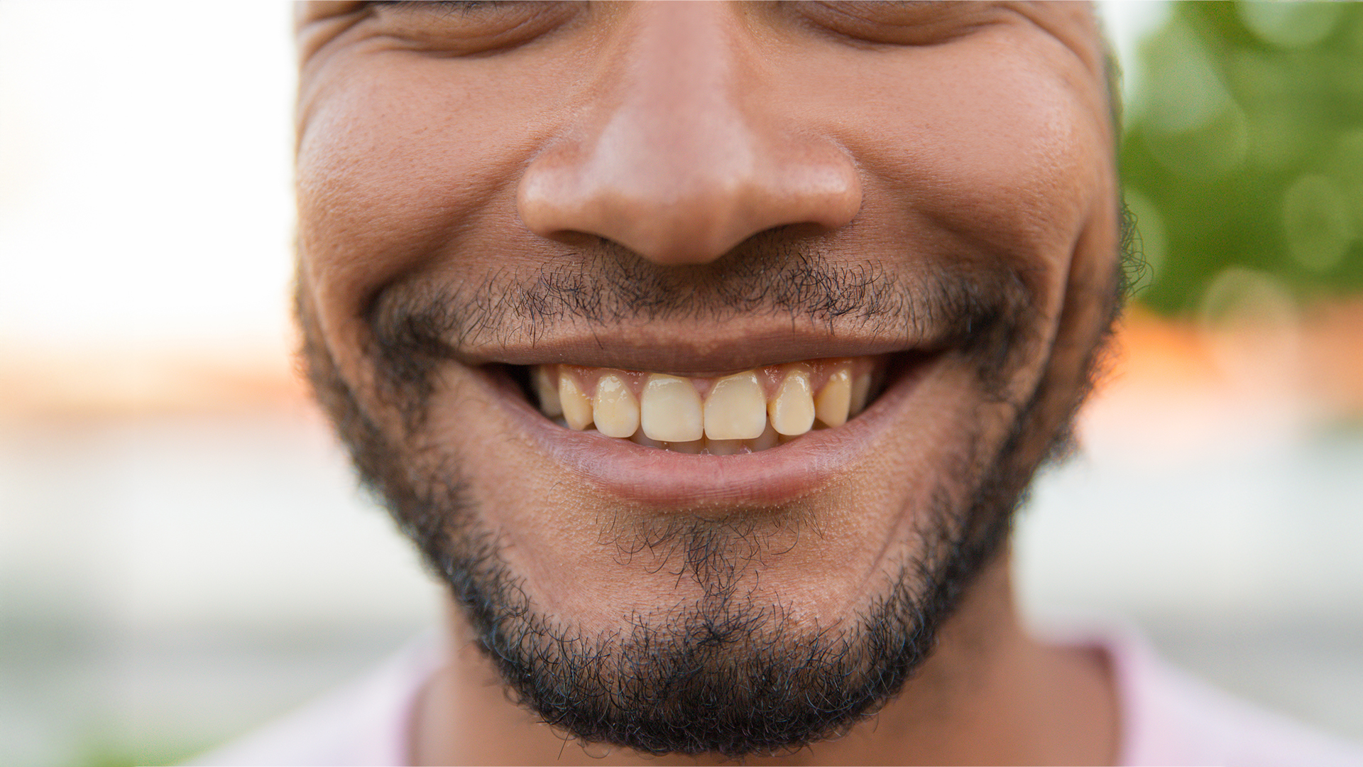 Dental Plaque